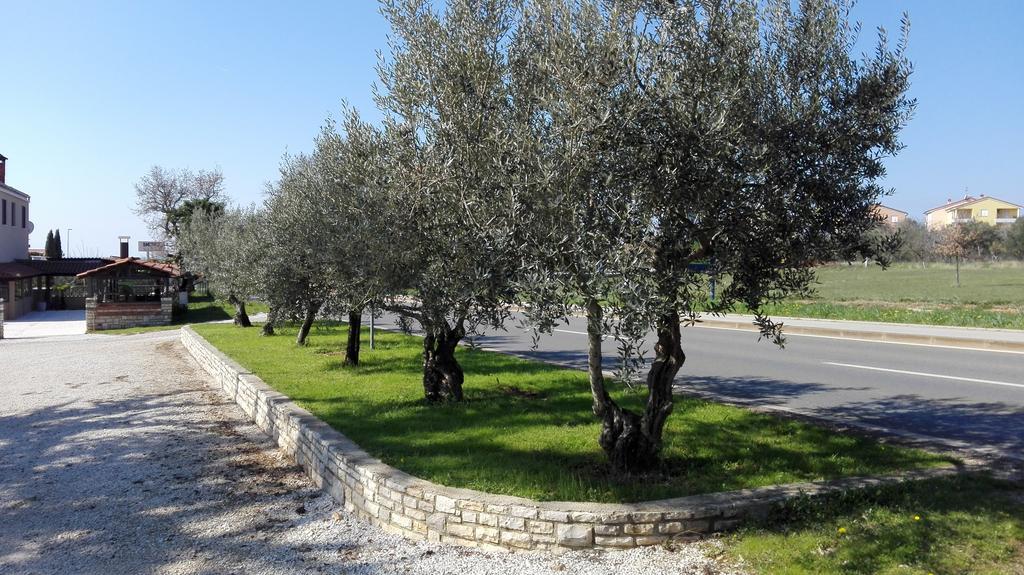 Apartment Luka Novigrad Istria Esterno foto